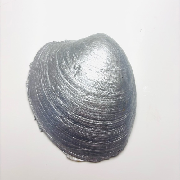 Handmade Clam Shell Trinket Dish w/ Blue Rose Decoupage Design - Picture 4 of 4